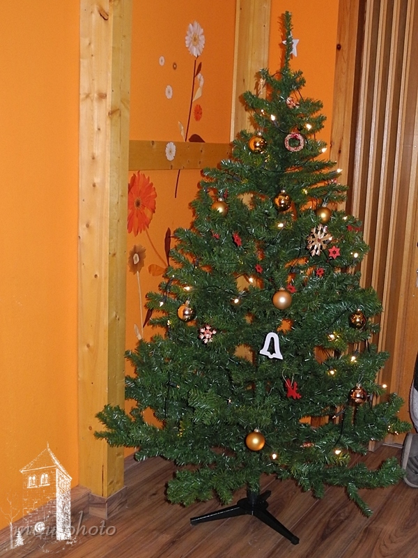 2013-11-30_151750_DSCN2200_NIKON_COOLPIX P7100.jpg