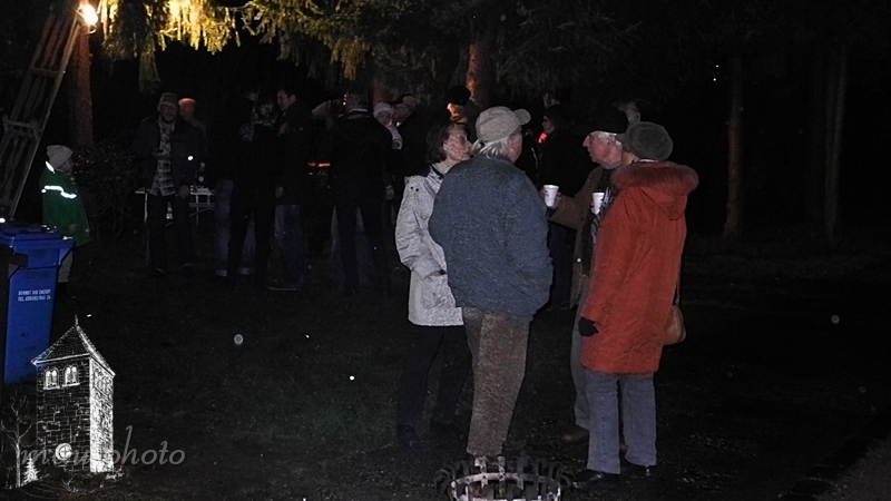 2013-11-30_165050_DSCN2252_NIKON_COOLPIX P7100.jpg