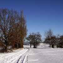 2021-02-14 151821 DSC06920 SONY ILCA-77M2