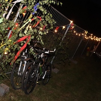 2025-08-22 205718 IMG 5868 Canon EOS 90D