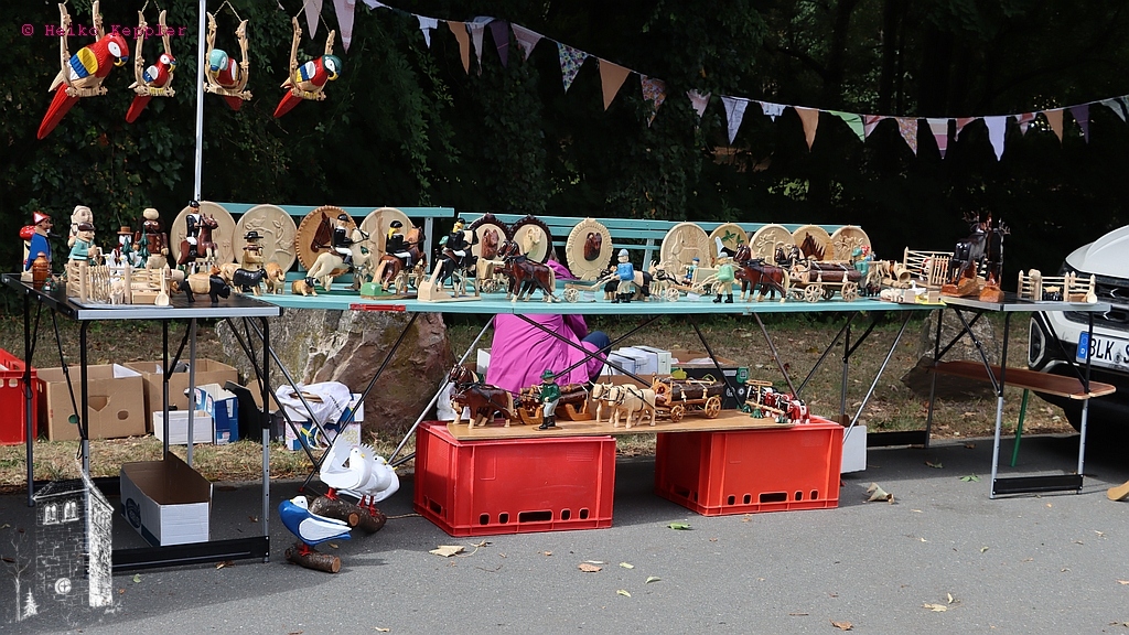 2025-08-23_154352_IMG_6008_Canon EOS 90D.jpg