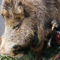 2025-08-23 145518 DSC00177 SONY ILCA-77M2