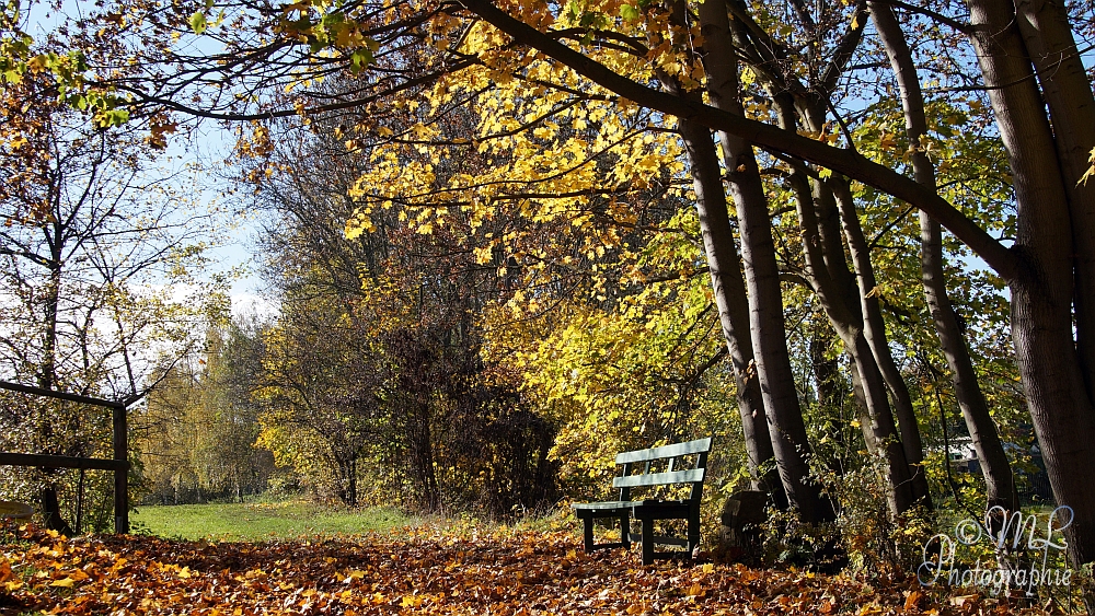 2013-10-22_144122_DSC05957_SONY_SLT-A57.jpg