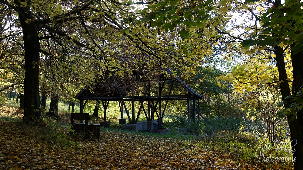 2013-10-22_150945_DSC05994_SONY_SLT-A57.jpg