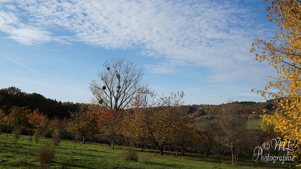 2013-10-22 152749 DSC06018 SONY SLT-A57