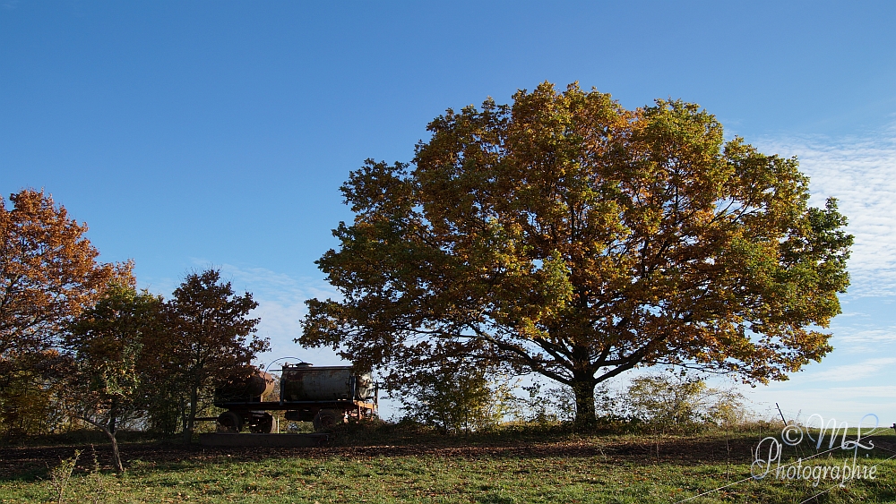 2013-10-22_154127_DSC06030_SONY_SLT-A57.jpg