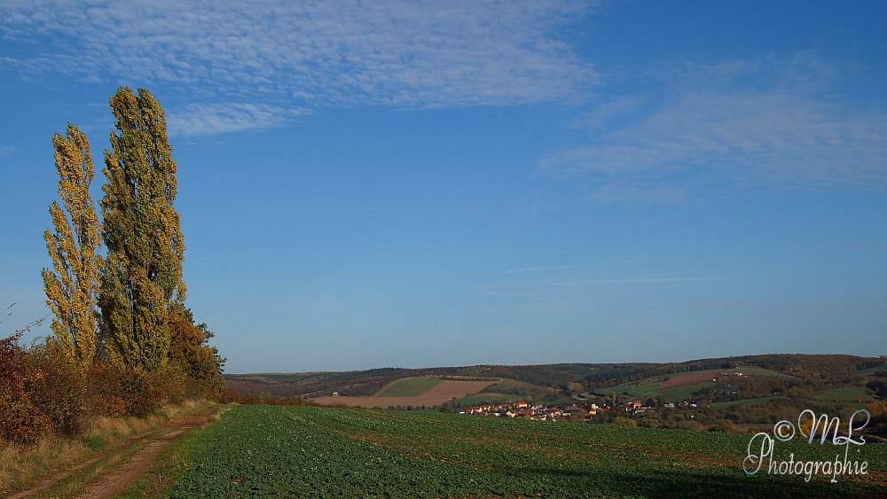 2013-10-22_154623_DSC06037_SONY_SLT-A57.jpg