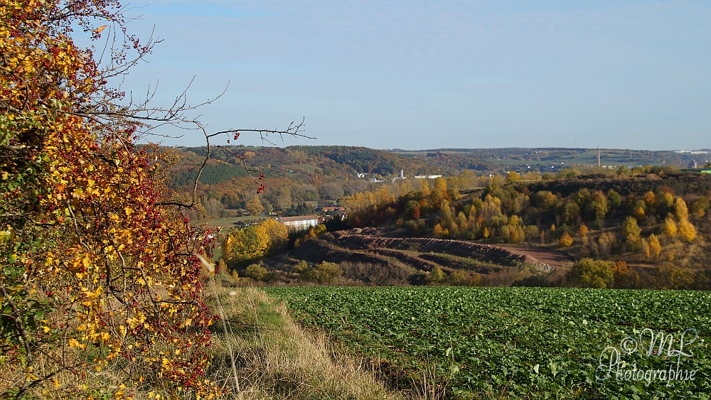 2013-10-22_155718_DSC06058_SONY_SLT-A57.jpg