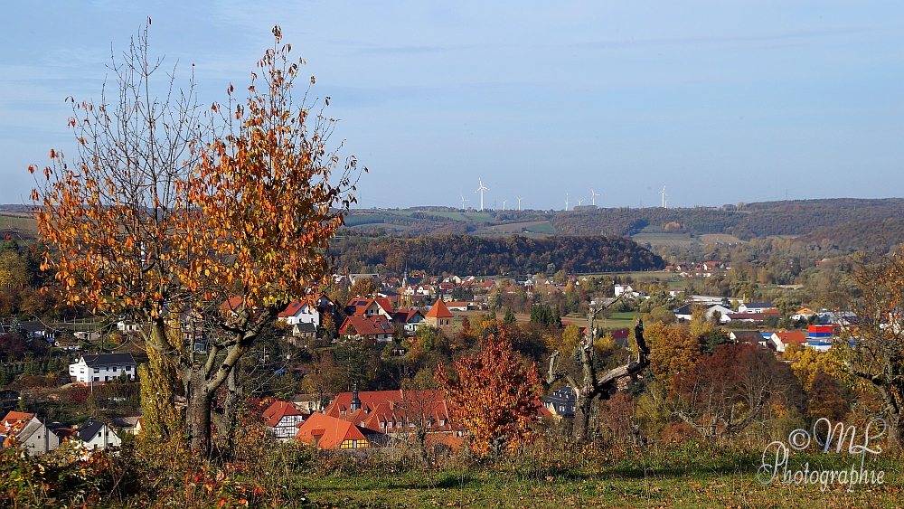 2013-10-22_155950_DSC06061_SONY_SLT-A57.jpg