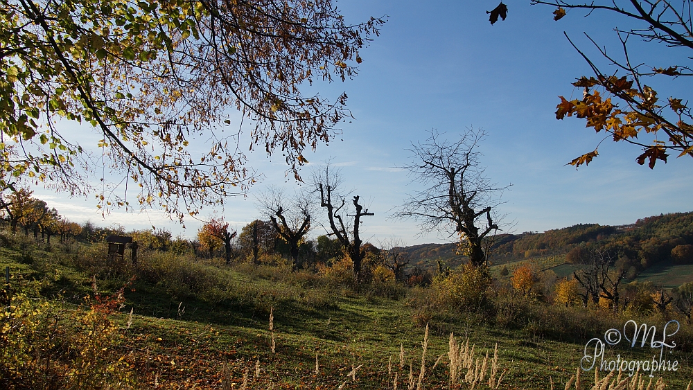 2013-10-22 160721 DSC06068 SONY SLT-A57