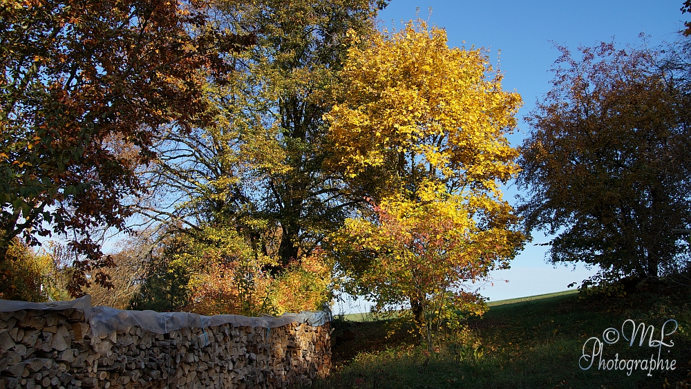 2013-10-22 160949 DSC06072 SONY SLT-A57