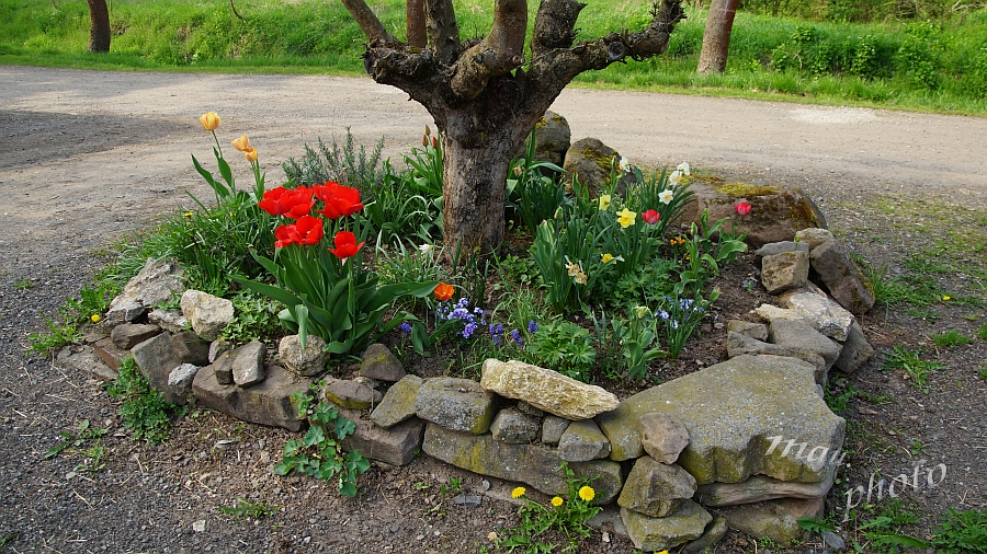Aufnahme www.maurice.xx3x.de 2018-04-21_143745_DSC01908_SONY_SLT-A77V.jpg