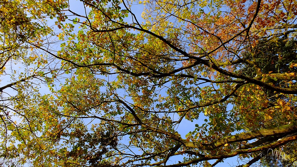 2012-10-28 164001 DSCF4522 FUJIFILM FinePix HS20EXR - 2012-10-28_164001_DSCF4522_FUJIFILM_FinePix_HS20EXR.jpg 2012-10-28_164001_DSCF4522_FUJIFILM_FinePix_HS20EXR.jpg
