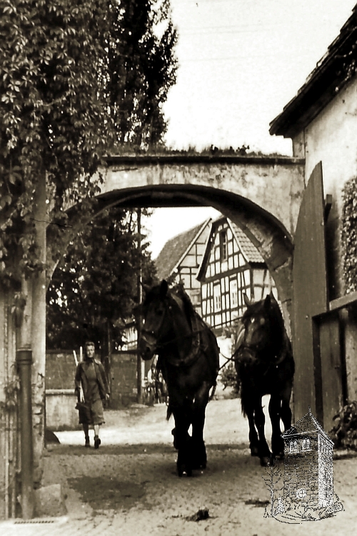 Eingangstor Rittergut um 1930? rg_0040k.jpg
